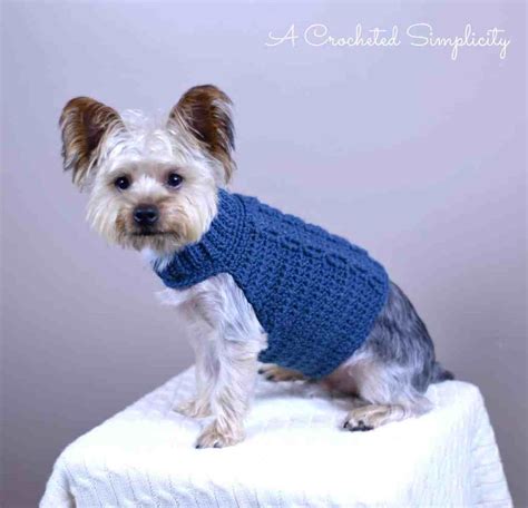 dog sweater crochet patterns free|free easy crochet dog sweater pattern small.